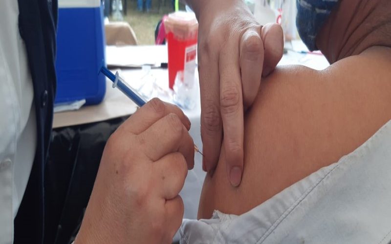 Vacunación docente en Xalapa/Francisco de Luna
